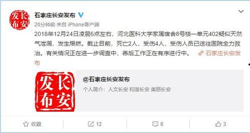 石家庄爆料视频大全,聚焦城市热点，揭秘生活百态