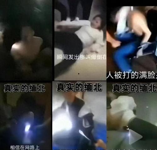 女子爆料被骗视频大全集,网络诈骗手段大曝光  第2张